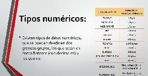 Los tipos numéricos de MySQL